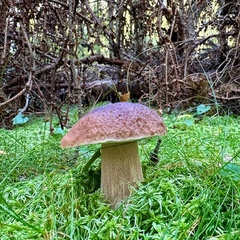 Гостевой дом Йокихутор, Республика Карелия