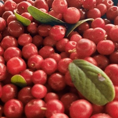 Гостевой дом Йокихутор, Республика Карелия