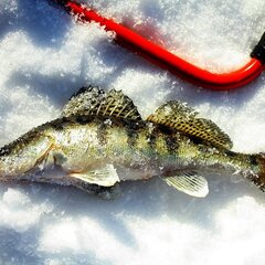 Туристическая база Афанасий, Весьегонский район, Тверская область