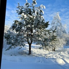 Глэмпинг Клюква, Рязанская область