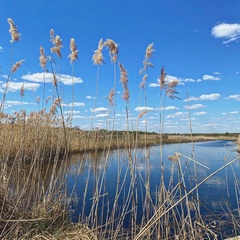 Глэмпинг Клюква, Рязанская область
