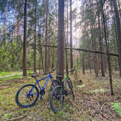 Глэмпинг Клюква, Рязанская область