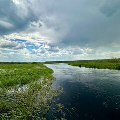Глэмпинг Клюква, Рязанская область