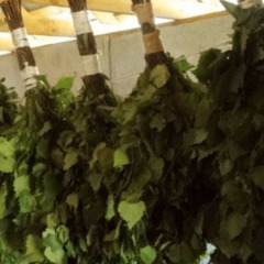 База отдыха Bunny Park, Владимирская область