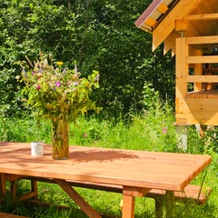 База семейного отдыха Олин лес, Тверская область