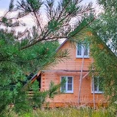 База семейного отдыха Олин лес, Тверская область