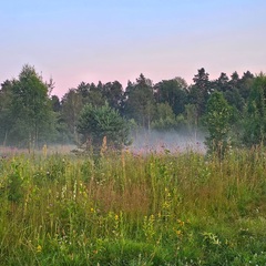 База семейного отдыха Олин лес, Тверская область