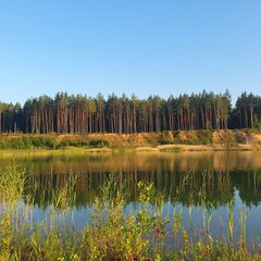 База семейного отдыха Олин лес, Тверская область