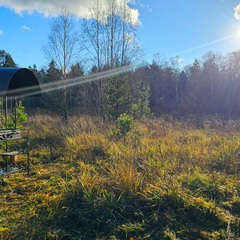 База семейного отдыха Олин лес, Тверская область