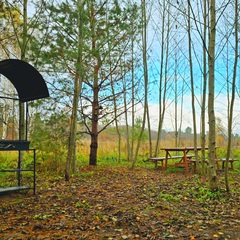 База семейного отдыха Олин лес, Тверская область