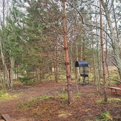 База семейного отдыха Олин лес, Тверская область