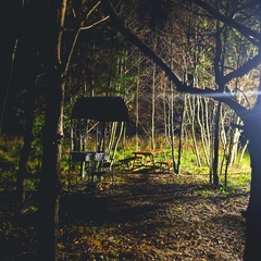 База семейного отдыха Олин лес, Тверская область