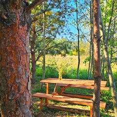 База семейного отдыха Олин лес, Тверская область