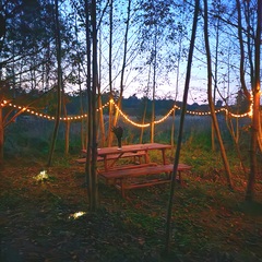 База семейного отдыха Олин лес, Тверская область