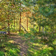 База семейного отдыха Олин лес, Тверская область