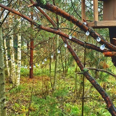 База семейного отдыха Олин лес, Тверская область