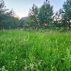 База семейного отдыха Олин лес, Тверская область