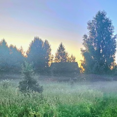 База семейного отдыха Олин лес, Тверская область