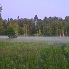 База семейного отдыха Олин лес, Тверская область