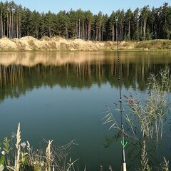 База семейного отдыха Олин лес, Тверская область