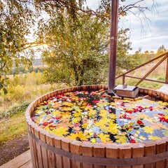 Глэмпинг На краю земли, Калужская область