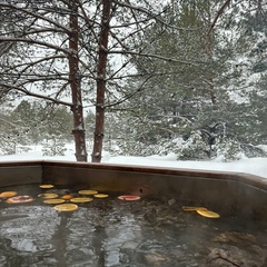 База отдыха Орехово Лес, Рязанская область