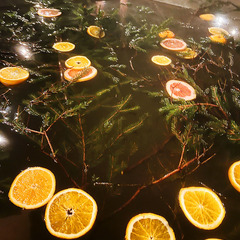 База отдыха Орехово Лес, Рязанская область