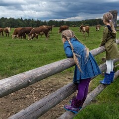 База отдыха Ордино, Тверская область