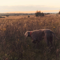 База отдыха Ордино, Тверская область