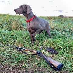 База отдыха Ордино, Тверская область