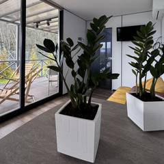 Глэмпинг ПаиАкс, Московская область