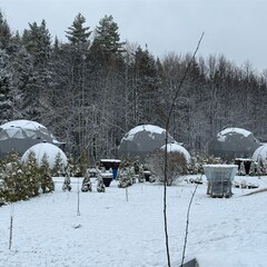 Глэмпинг ПаиАкс, Московская область