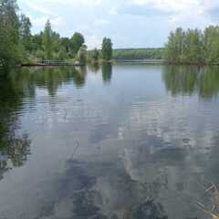 Гостевой дом Лосиный мыс, Республика Карелия