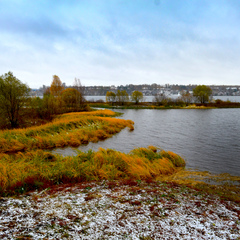 Эко-отель Александров залив, Костромская область