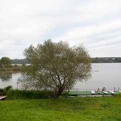 Эко-отель Александров залив, Костромская область