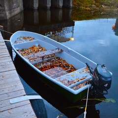 Эко-отель Александров залив, Костромская область