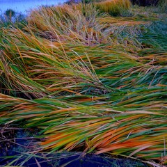 Эко-отель Александров залив, Костромская область