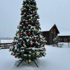 Эко-отель Александров залив, Костромская область