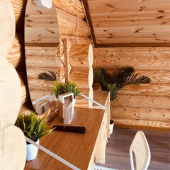 Эко-отель Александров залив, Костромская область