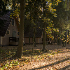 Глэмпинг Дурыкино, Солнечногорский район, Московская область