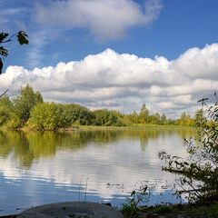 Глэмпинг Дурыкино, Солнечногорский район, Московская область