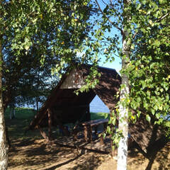 Глэмпинг Дурыкино, Солнечногорский район, Московская область