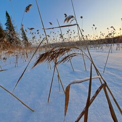 Охотничье-рыболовная база Товское озеро , Архангельская область
