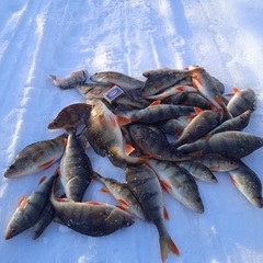 Охотничье-рыболовная база Товское озеро , Архангельская область