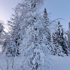 Охотничье-рыболовная база Товское озеро , Архангельская область