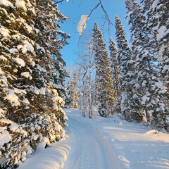 Охотничье-рыболовная база Товское озеро , Архангельская область