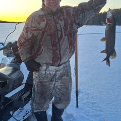 Охотничье-рыболовная база Товское озеро , Архангельская область