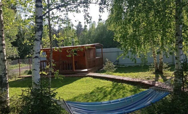 Hide Forest — фото 2