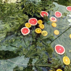 Частный дом Hide Forest, Истринский район, Московская область