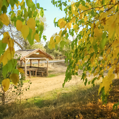 База отдыха и туризма Пансион в дубраве, Волгоградская область